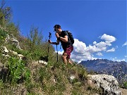 Monte Barro ad anello ‘fiorito’ da Galbiate-17apr23 - FOTOGALLERY